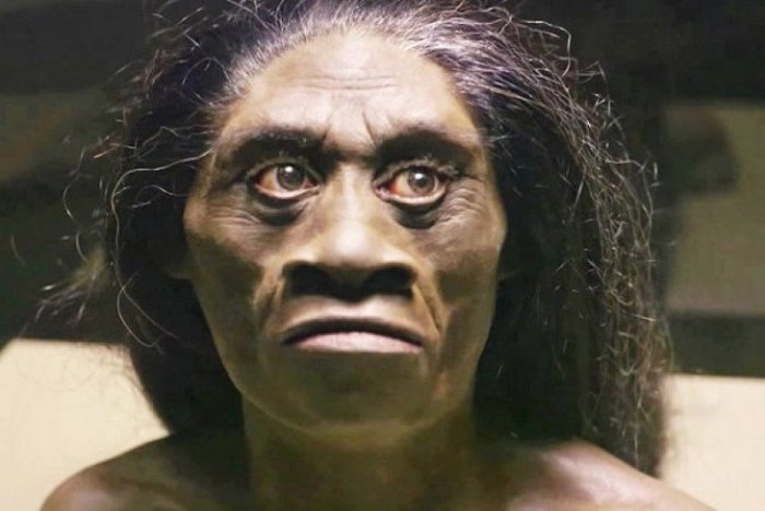 Pengertian dan ciri ciri manusia