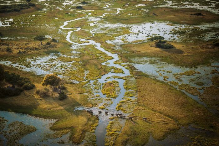 Administrasi manajemen pengertian menurut ahli fungsi tugasnya tujuan lengkap bisnis