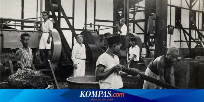 Mengapa pemerintahan hindia belanda melaksanakan tanam paksa