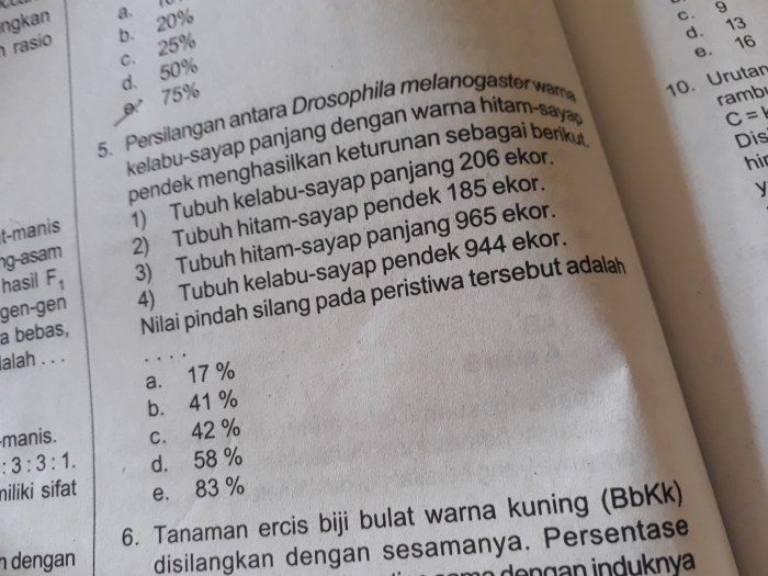 Pengertian dan contoh perkawinan silang