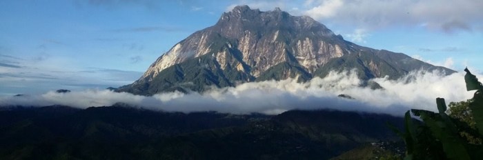 Njanur gunung