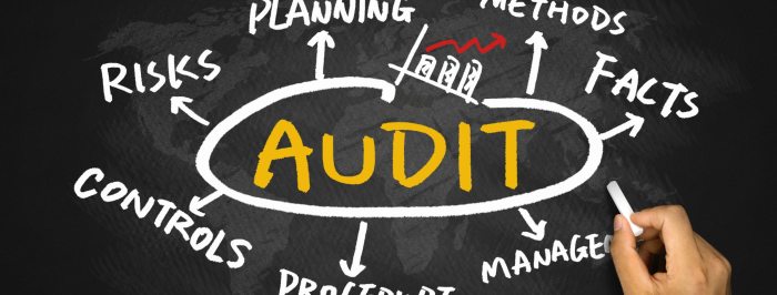 Audit Audit