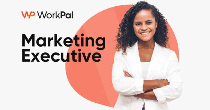 Executive marketing digital
