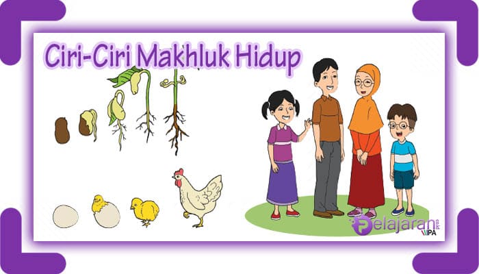 Ciri ciri makhluk hidup