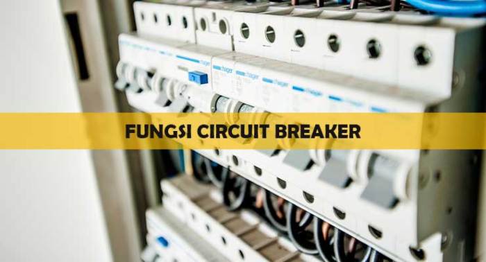 Fungsi cara kerja platina breaker poin