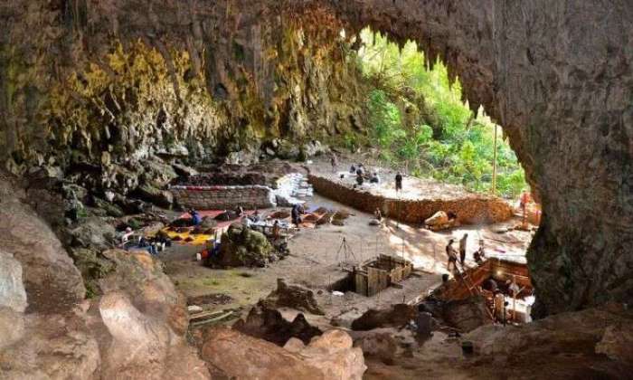 Mengenal manusia liang bua manusia gua