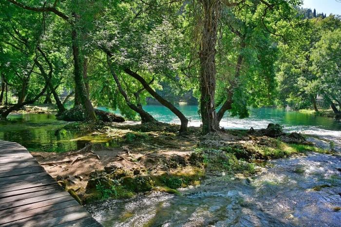 Mengapa para ahli banyak melakukan