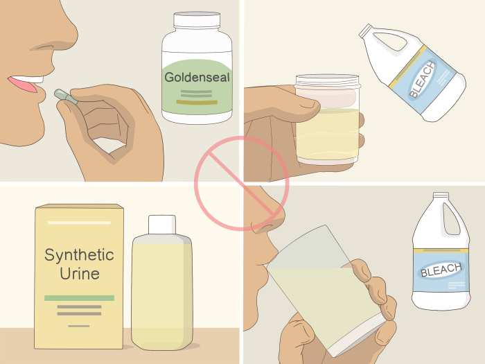 Urine proses sistem pembentukan manusia aliran ureter zat metabolisme uretra idschool tubuh penyusun urea berupa komposisi serta sisa tahapan Komposisi urine dalam keadaan norma