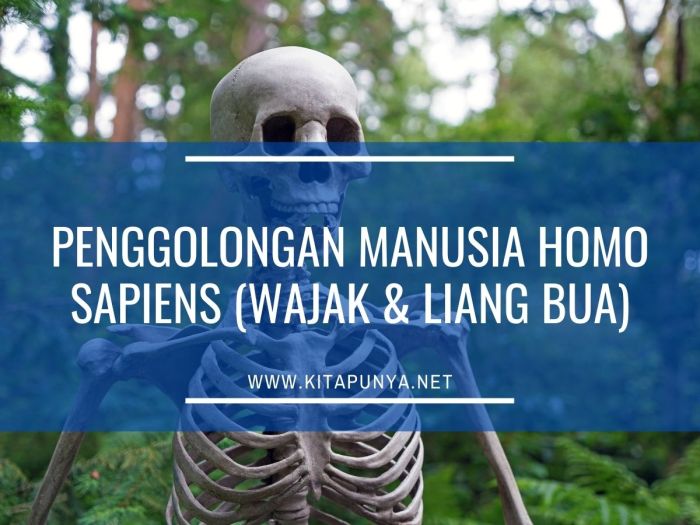 Penggolongan manusia homo sapiens