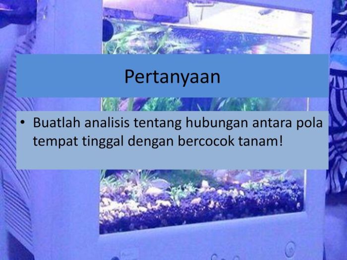 Analisis tentang hubungan antara pola