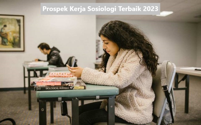 Prospek kerja sosiologi