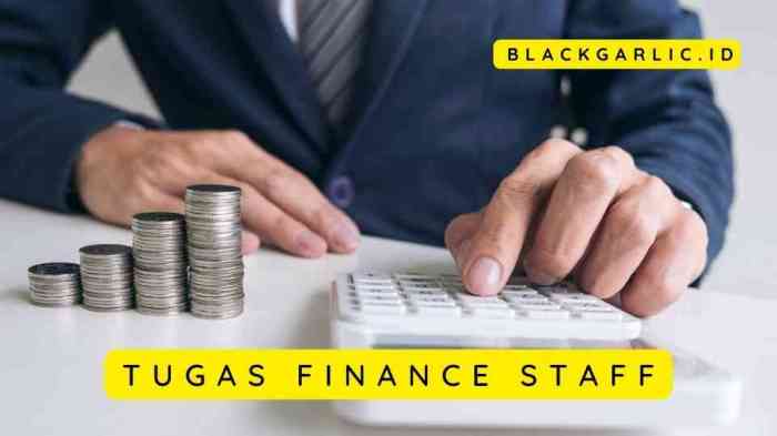 Tugas staff finance