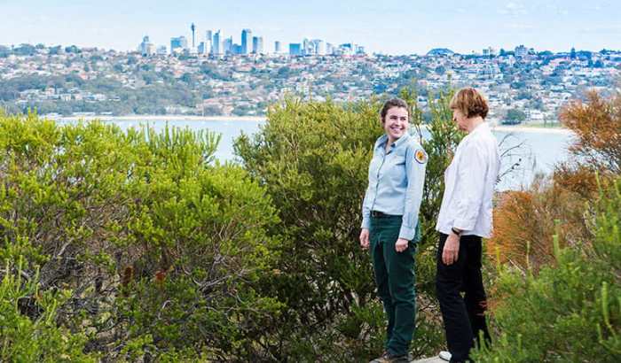 Tugas seorang field officer