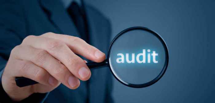 Audit governance It audit