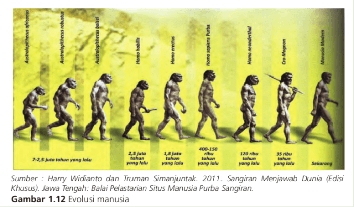 Mengapa hasil penelitian dubois di trinil