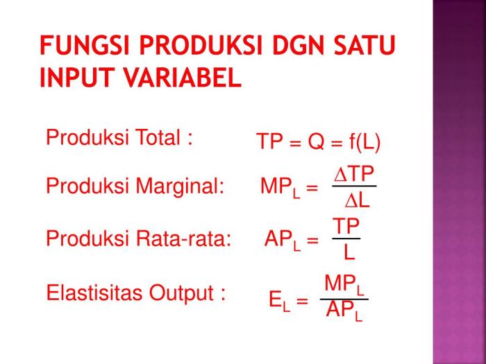 Pengertian dan rumus fungsi produksi