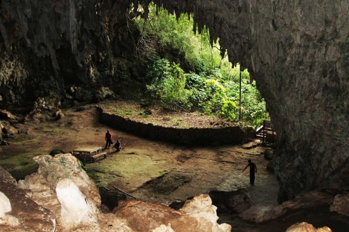 Mengenal manusia liang bua manusia gua