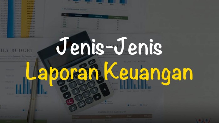 Pengguna laporan keuangan