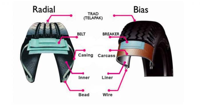 Tipe tipe ban ban bias dan ban radia