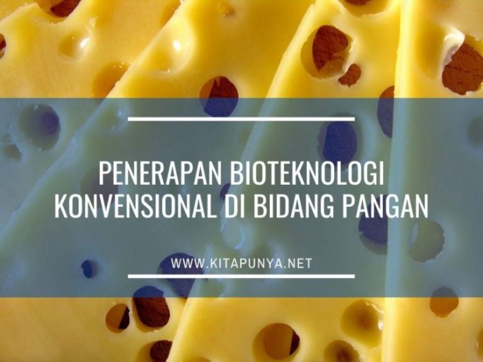 Penerapan bioteknologi konvensional di