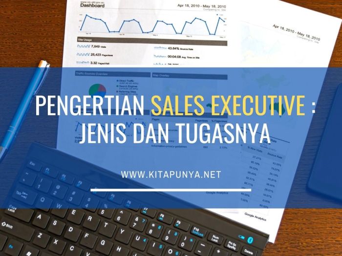 Pengertian sales executive