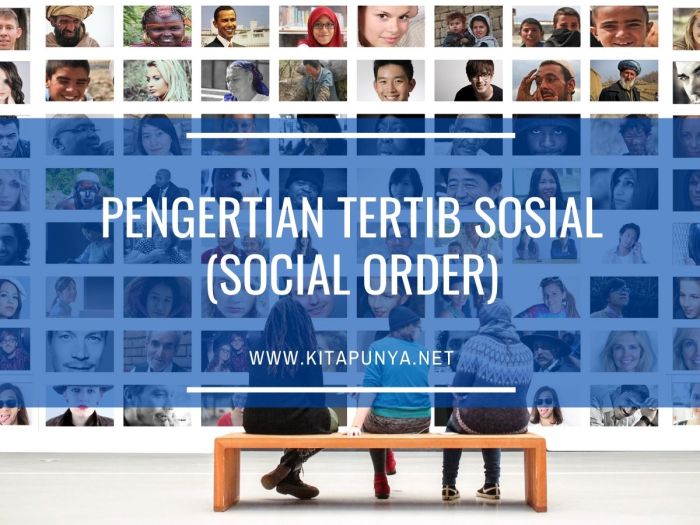 Pengertian tertib sosial social order