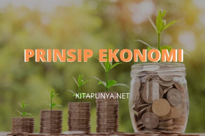 Prinsip ekonomi bagi konsumen produsen