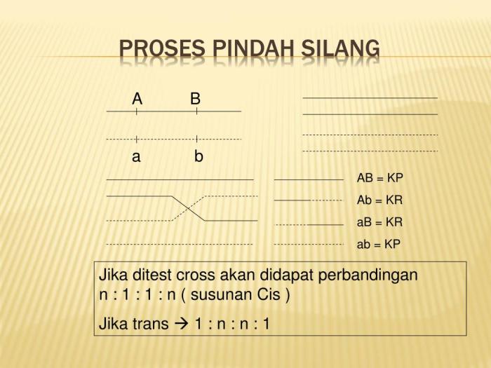 Pengertian dan contoh perkawinan silang