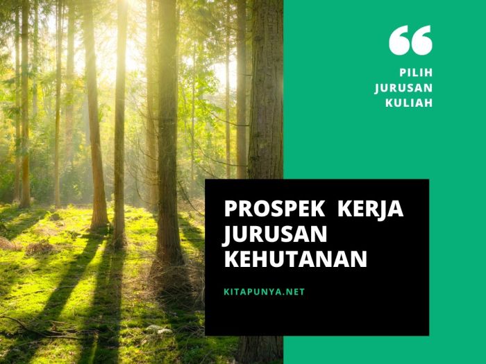 Prospek kerja jurusan kehutanan