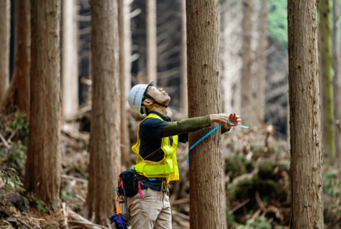 Prospek kerja jurusan kehutanan