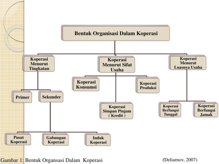 Organisasi bentuk struktur beberapa kajianpustaka adapun serta ciri Bentuk bentuk organisasi