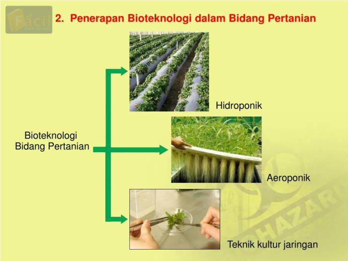 Bioteknologi konvensional pengertian adalah manfaat penerapan
