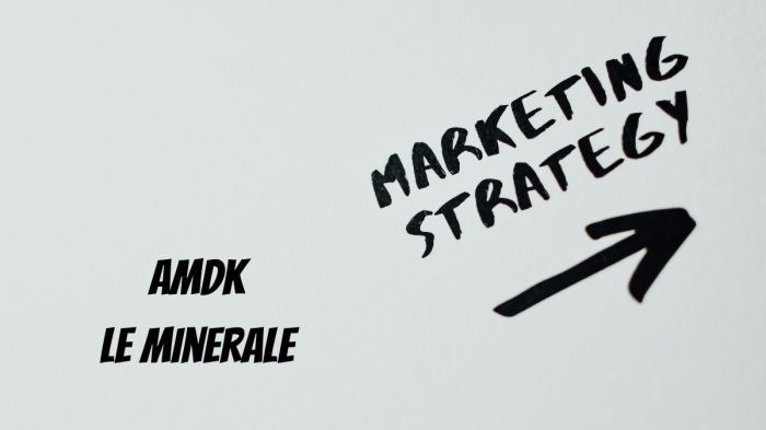 Strategi pemasaran le minerale