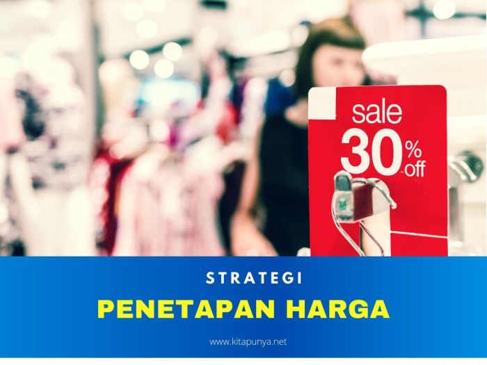 Harga penetapan strategi