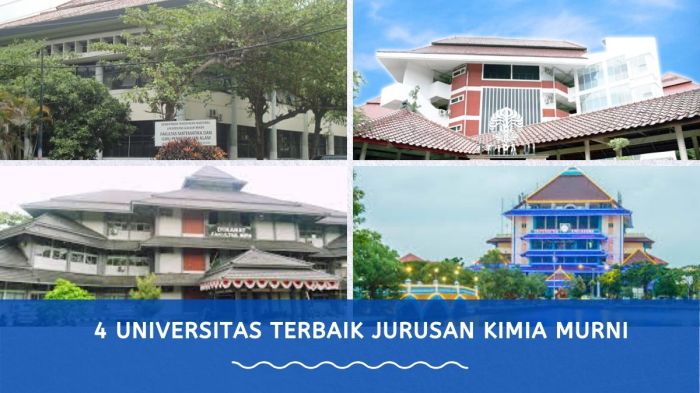 Universitas dengan jurusan kimia murni terbaik
